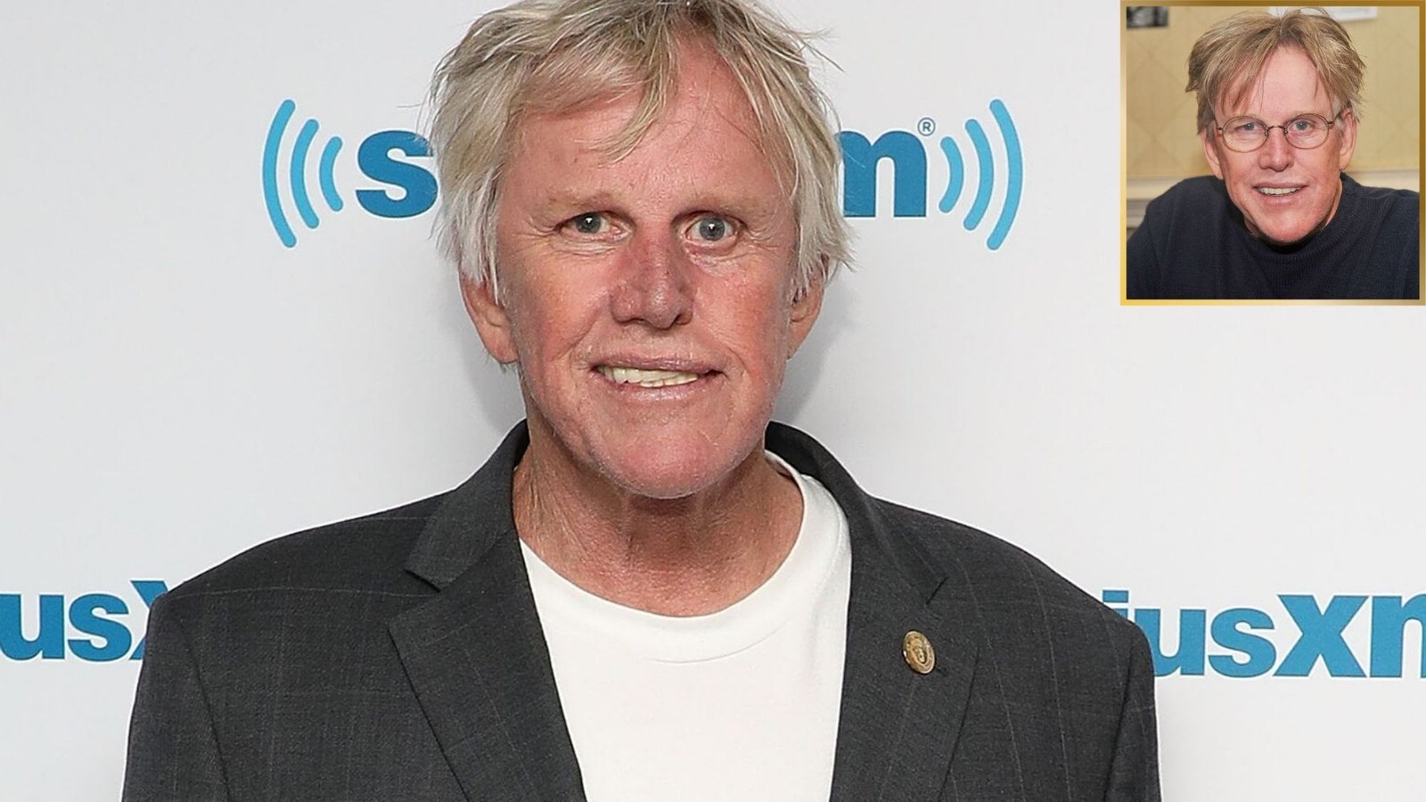 Gary Busey Net Worth